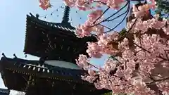 清凉寺の自然