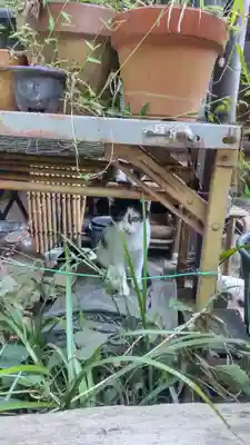 浄瑠璃寺(京都府)