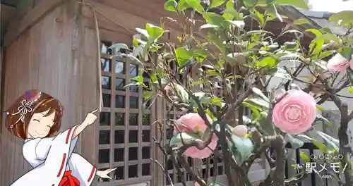 上平井天祖神社の自然