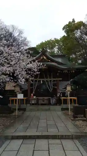 鎮守氷川神社の本殿