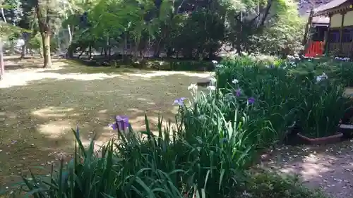 賀茂別雷神社（上賀茂神社）の庭園