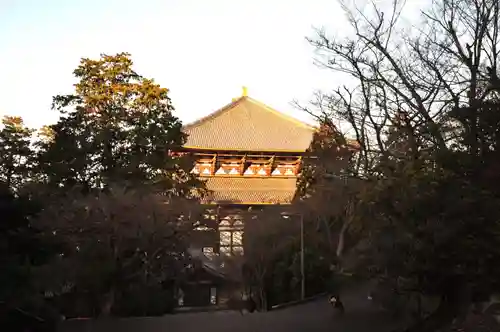 東大寺(奈良県)