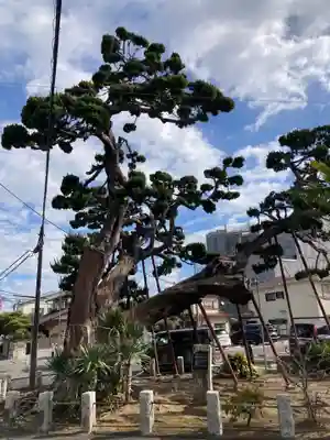 妙法寺(神奈川県)