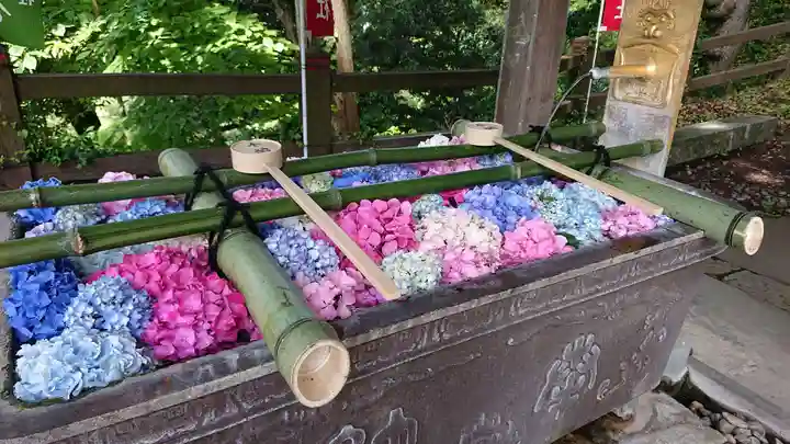 唐澤山神社(栃木県)
