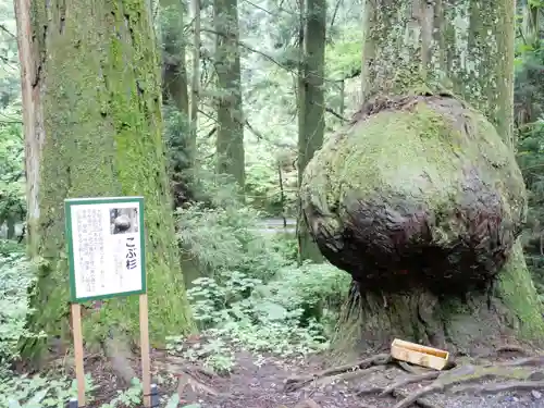 花園神社(茨城県)