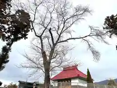 天照皇大神宮(長野県)