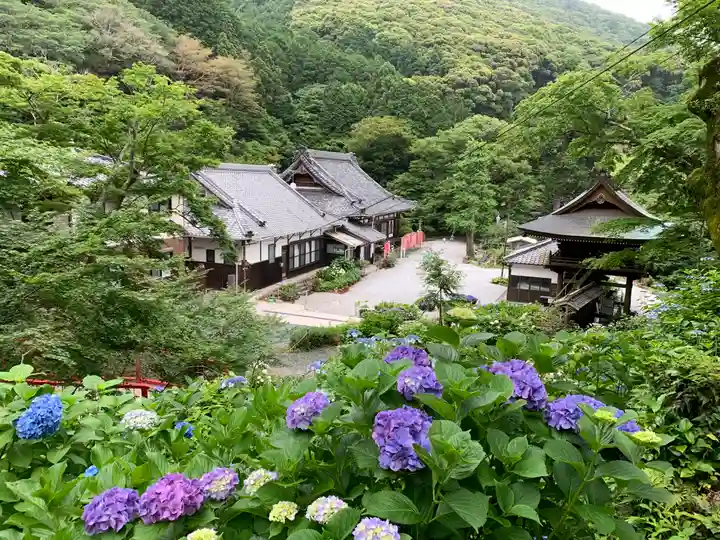 普門寺(切り絵御朱印発祥の寺)の景色