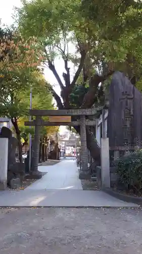 牛嶋神社の鳥居