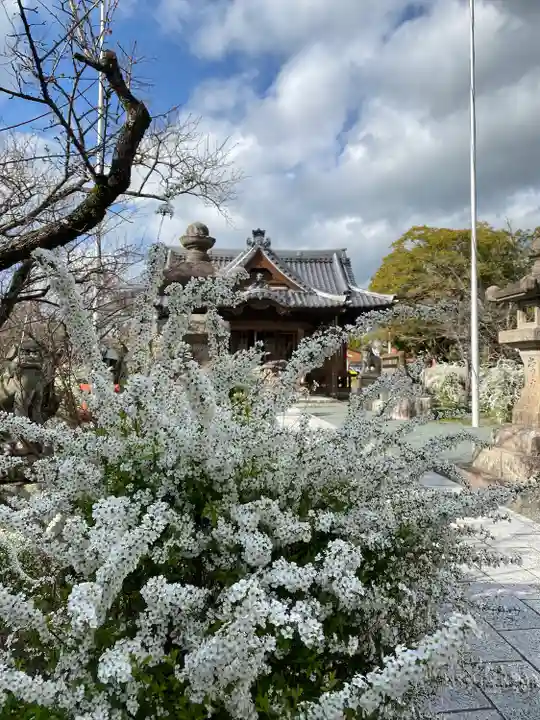 天満宮(福岡県)