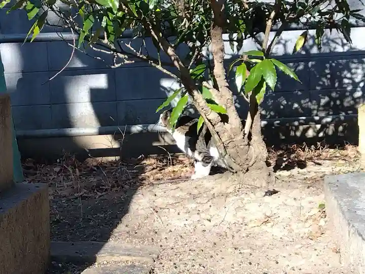 大海神社(住吉大社摂社)(大阪府)