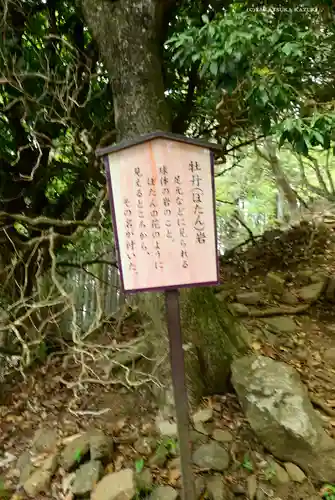大山阿夫利神社本社のその他建物