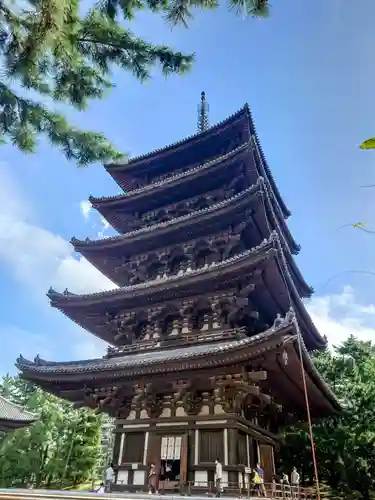 興福寺 五重塔(奈良県)