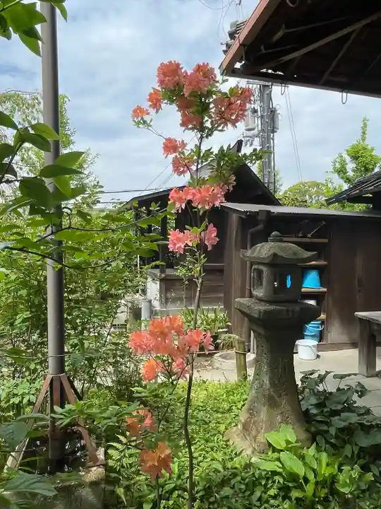 青龍寺(京都府)