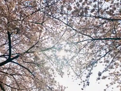 佉羅陀山地蔵院薬王寺の自然