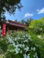 岡部春日神社~👹鬼門よけの🌺花咲く🌺やしろ~の庭園