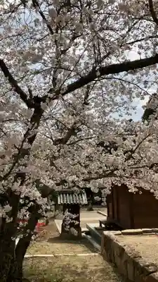 備前国総社宮の自然