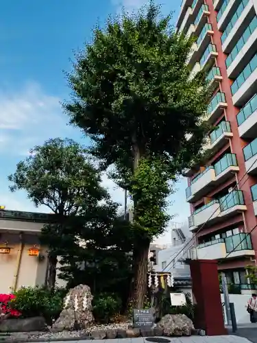 神田神社（神田明神）の{uncategorized: "未分類", other: "その他", undefined: "問題あり", building: "その他建物", grave: "お墓", sacred_gate: "鳥居", guardian: "狛犬", statue: "像", buddha: "仏像", history: "歴史", nature: "自然", garden: "庭園", animal: "動物", pagoda: "塔", temizu: "手水舎", mountain_gate: "山門・神門", sanctuary: "本殿・本堂", subordinate: "末社・摂社", art: "芸術", scenery: "景色", jizo: "地蔵", ema: "絵馬", goshuin: "御朱印", omikuji: "おみくじ", items: "授与品その他", amulet: "お守り", goshuincho: "御朱印帳", eats: "食事", festival: "お祭り", votive_dance: "神楽", shichigosan: "七五三参", wedding: "結婚式", experience: "体験その他", initially: "初詣", around: "周辺", anti_infection: "感染症対策"}