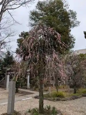 布多天神社(東京都)