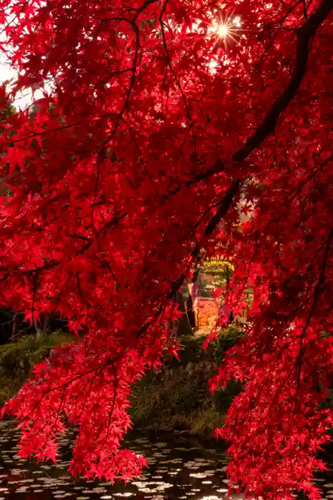 大原野神社(京都府)