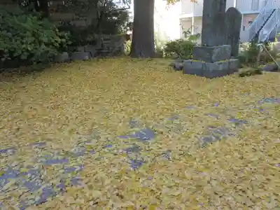 安國論寺（安国論寺）(神奈川県)