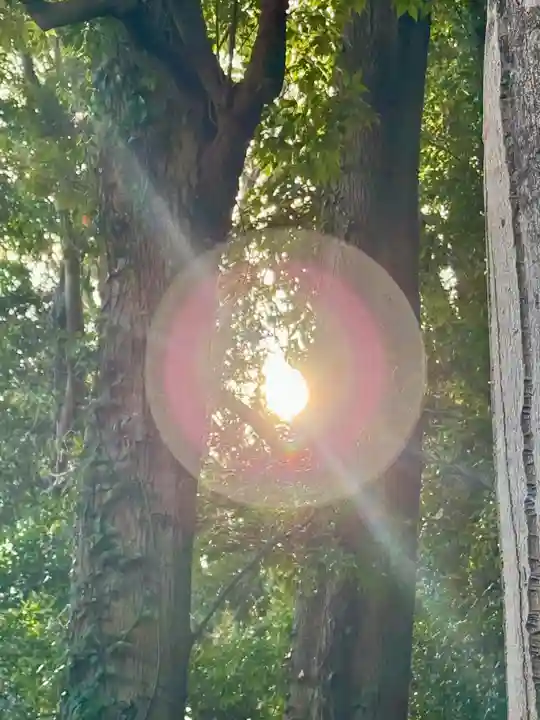 龍田大社(奈良県)
