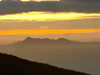 東花童子の景色