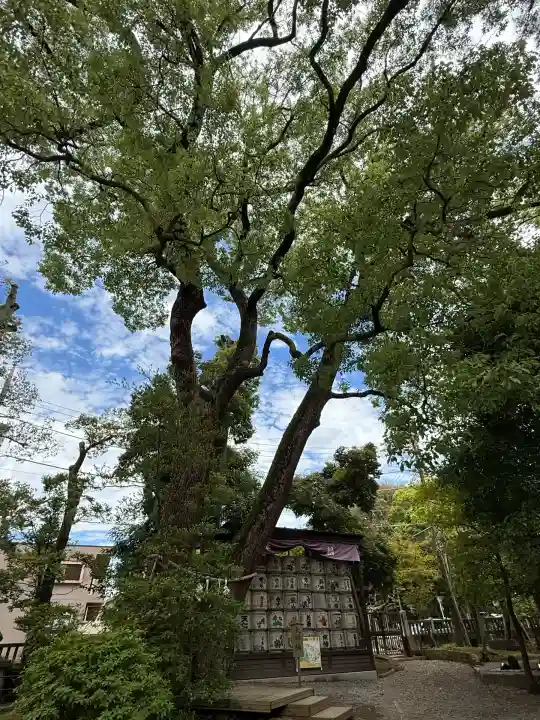 武蔵一宮氷川神社(埼玉県)
