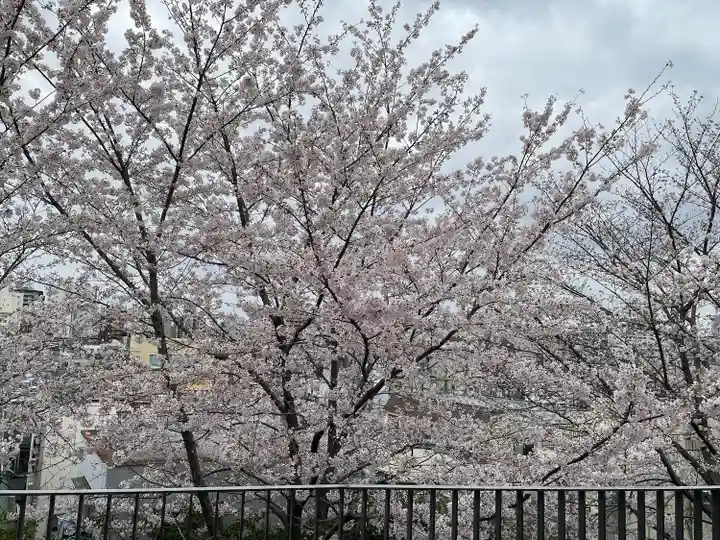 赤城神社の自然