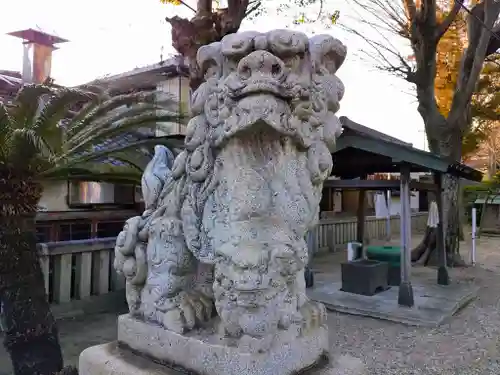 小倉神社の狛犬