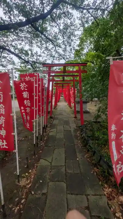 於菊稲荷神社の{uncategorized: "未分類", other: "その他", undefined: "問題あり", building: "その他建物", grave: "お墓", sacred_gate: "鳥居", guardian: "狛犬", statue: "像", buddha: "仏像", history: "歴史", nature: "自然", garden: "庭園", animal: "動物", pagoda: "塔", temizu: "手水舎", mountain_gate: "山門・神門", sanctuary: "本殿・本堂", subordinate: "末社・摂社", art: "芸術", scenery: "景色", jizo: "地蔵", ema: "絵馬", goshuin: "御朱印", omikuji: "おみくじ", items: "授与品その他", amulet: "お守り", goshuincho: "御朱印帳", eats: "食事", festival: "お祭り", votive_dance: "神楽", shichigosan: "七五三参", wedding: "結婚式", experience: "体験その他", initially: "初詣", around: "周辺", anti_infection: "感染症対策"}