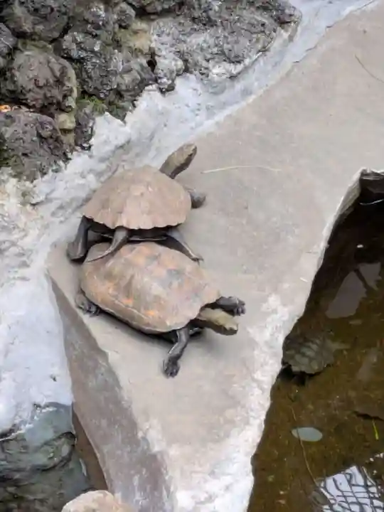 心城院(東京都)