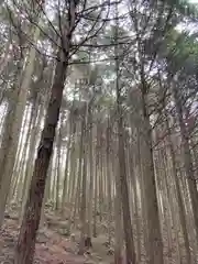 河上神社の周辺