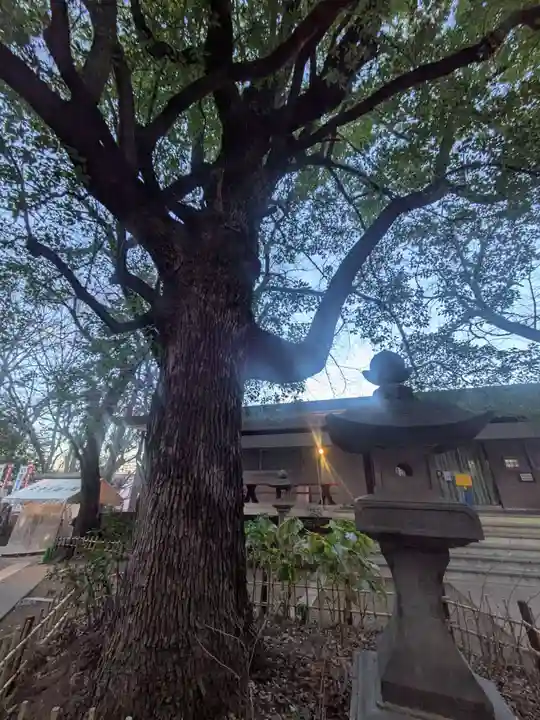 王子稲荷神社(東京都)