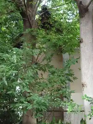 田端神社(東京都)