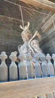 志度寺(香川県)