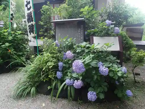 御霊神社の庭園