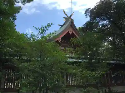 藤崎八旛宮の本殿・本堂