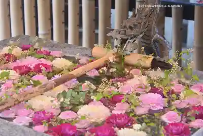 高円寺氷川神社(東京都)