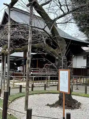 靖國神社(東京都)
