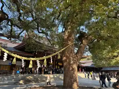 明治神宮(東京都)