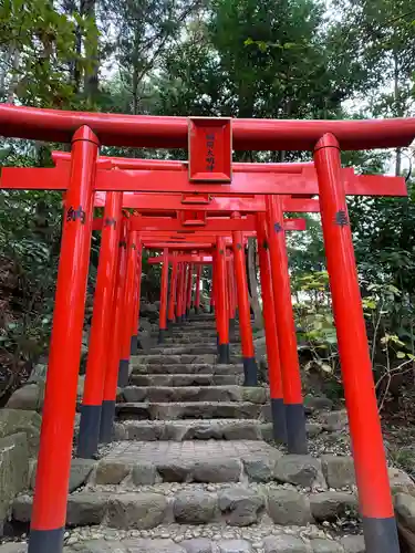 白笹稲荷神社の鳥居