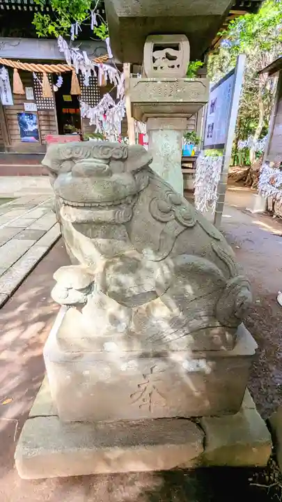 高津比咩神社の狛犬