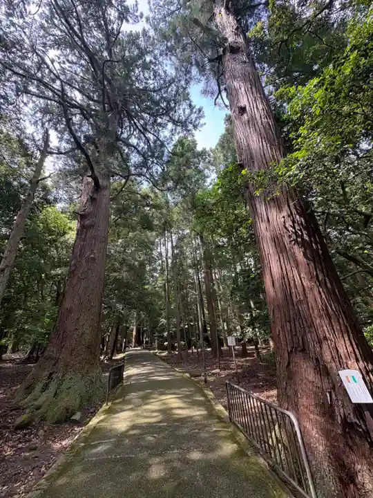 若狭彦神社(上社)(福井県)