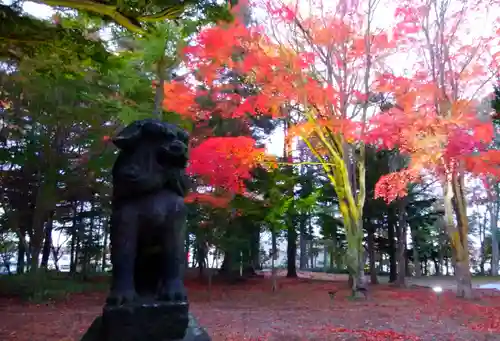 北広島市総鎮守　廣島神社の狛犬