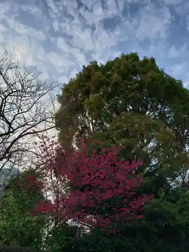 芝東照宮の自然