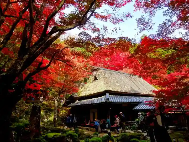 教林坊(滋賀県)