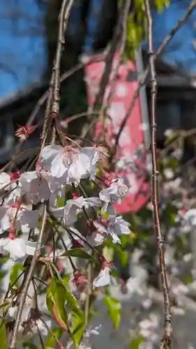 玉田神社の自然
