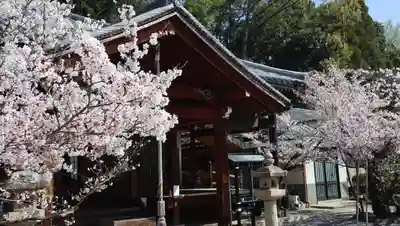 安岡寺(大阪府)