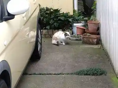 有礒正八幡宮(富山県)