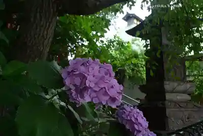 弘明寺(神奈川県)